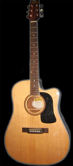 washburn d10 sce